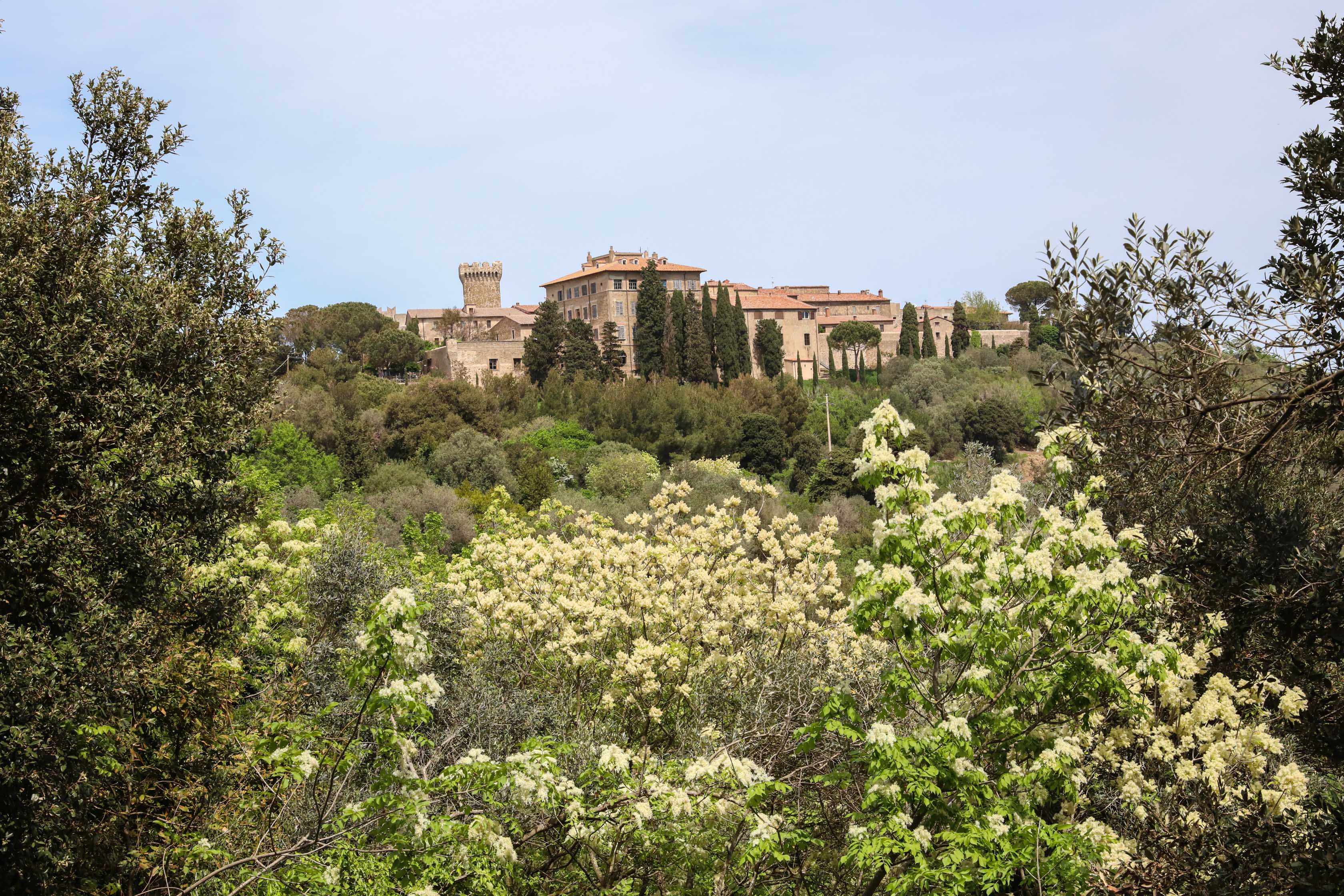 Populonia
