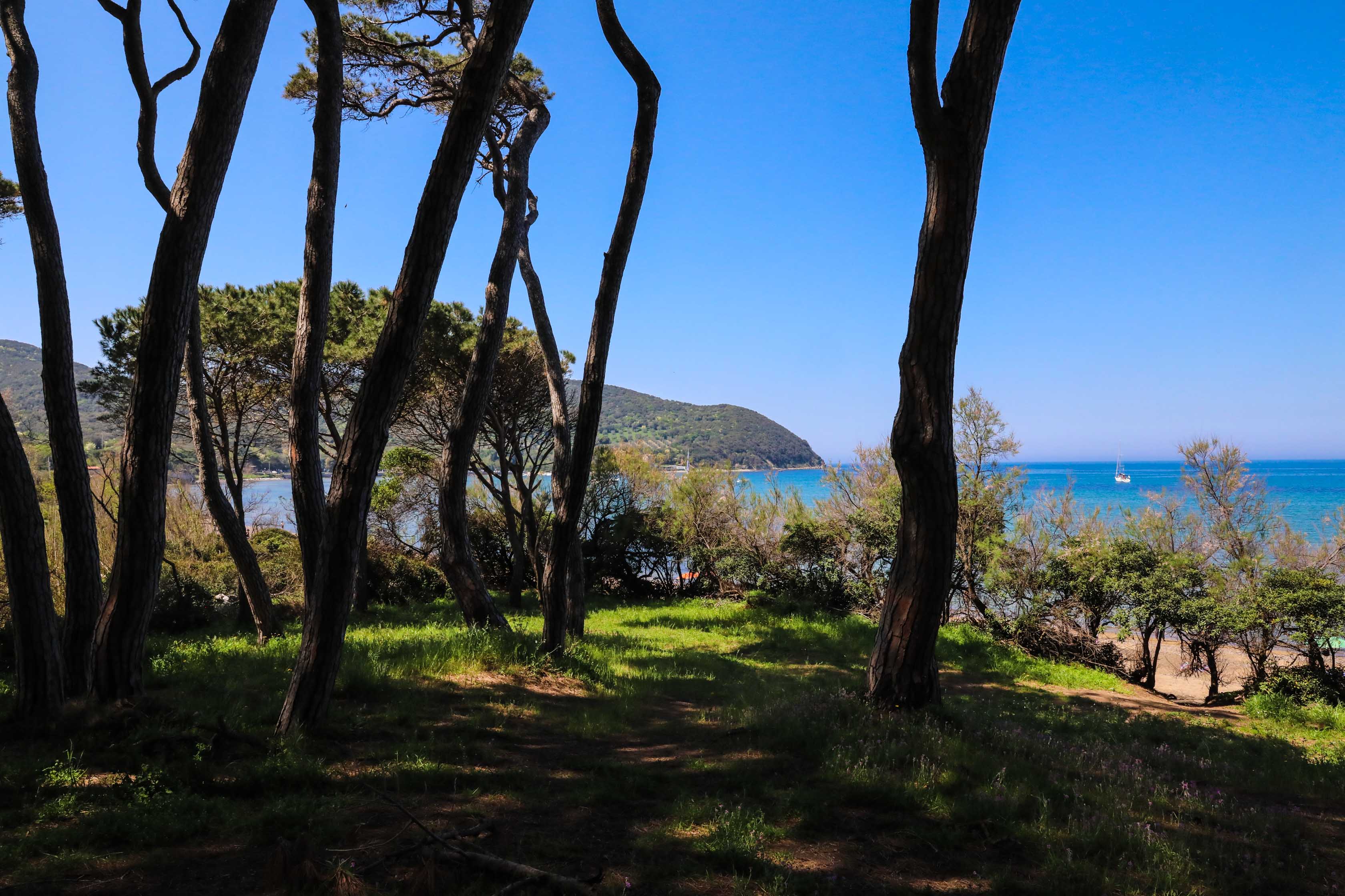 Baratti